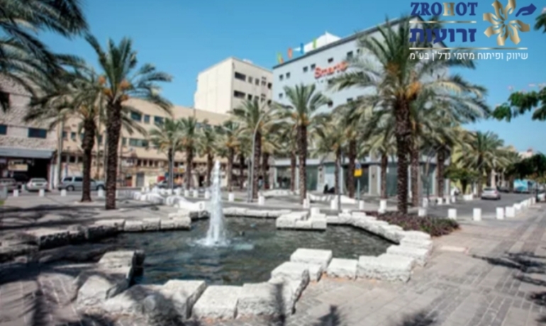 חנות ברחוב הנמל